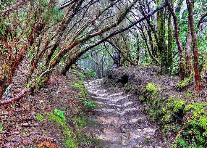 Tenerife Holidays * Costa Adeje (Tenerife)