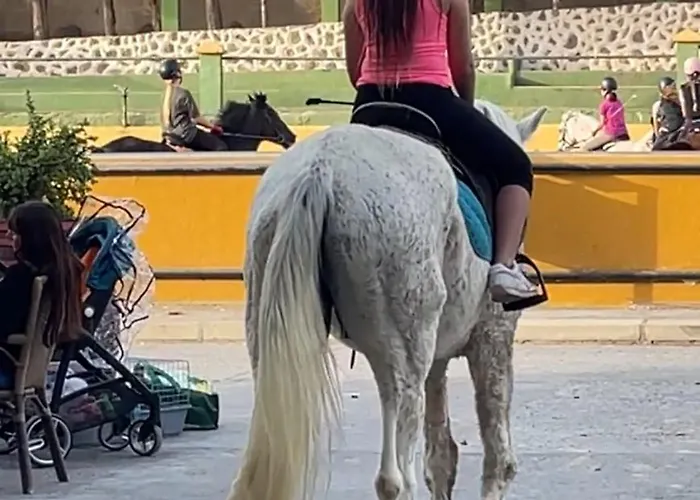 Tenerife Holidays Apartamento