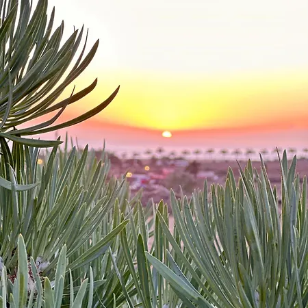 Tenerife Holidays أذيخي