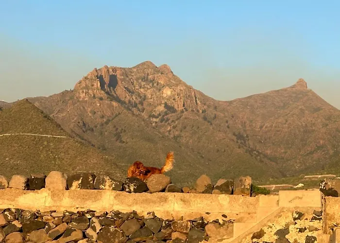 Appartamento Tenerife Holidays