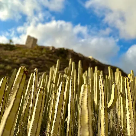 Tenerife Holidays Apartment *