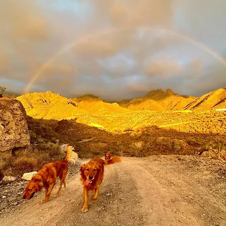 Apartment Tenerife Holidays *