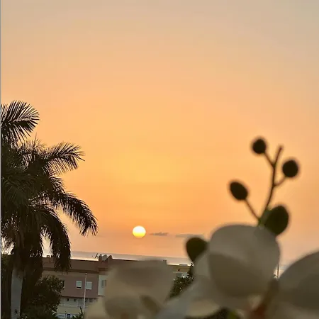Διαμέρισμα Tenerife Holidays Costa Adeje (Tenerife)