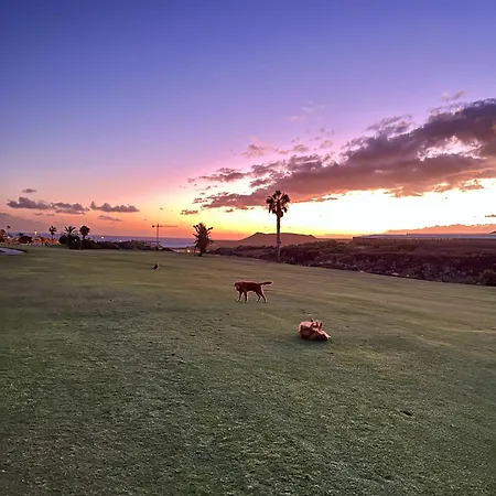 Apartment Tenerife Holidays
