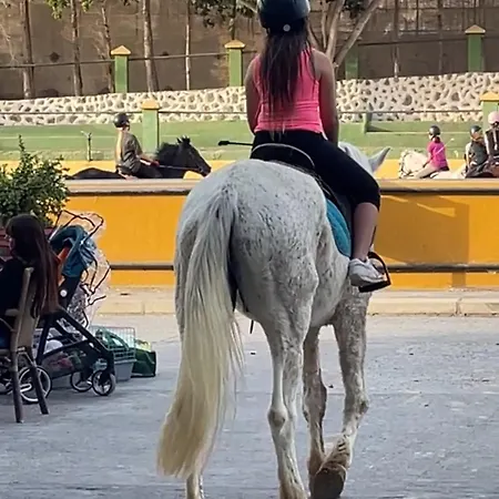 Tenerife Holidays Διαμέρισμα