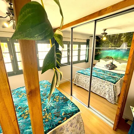 Apartment Tenerife Holidays Costa Adeje (Tenerife)