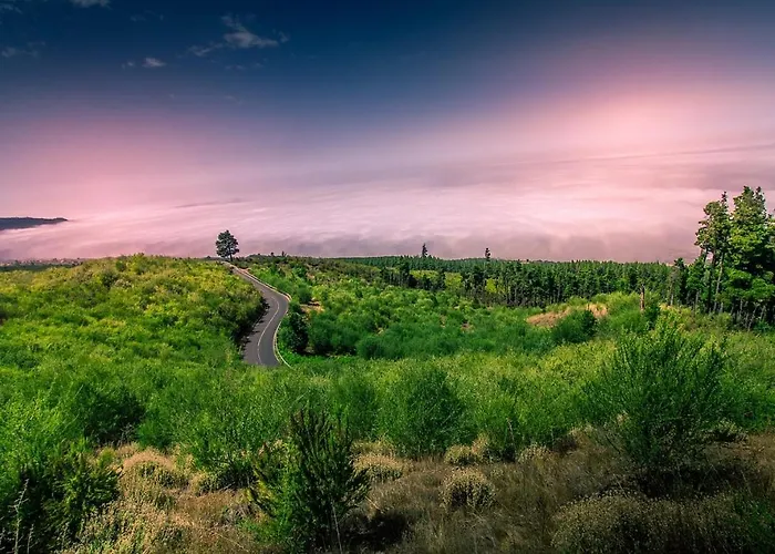 Апартаменты Tenerife Holidays