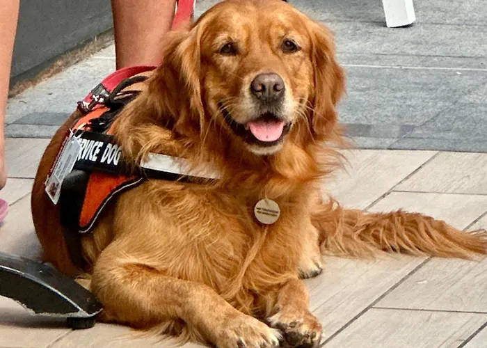 Tenerife Holidays * Адехе