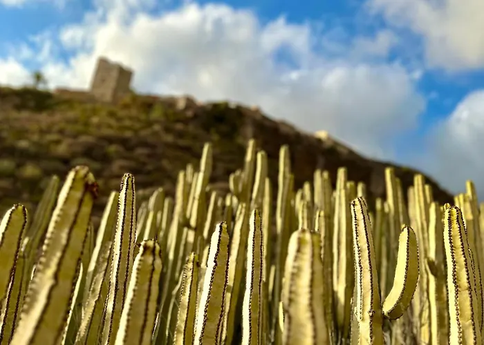 Tenerife Holidays Апартаменты *