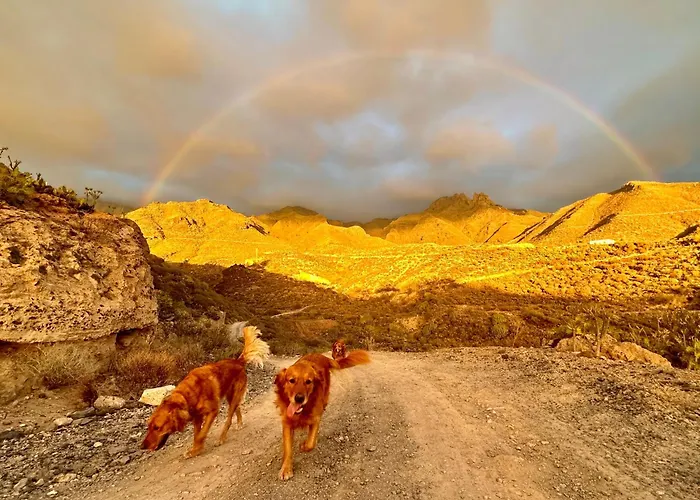 Апартаменты Tenerife Holidays *