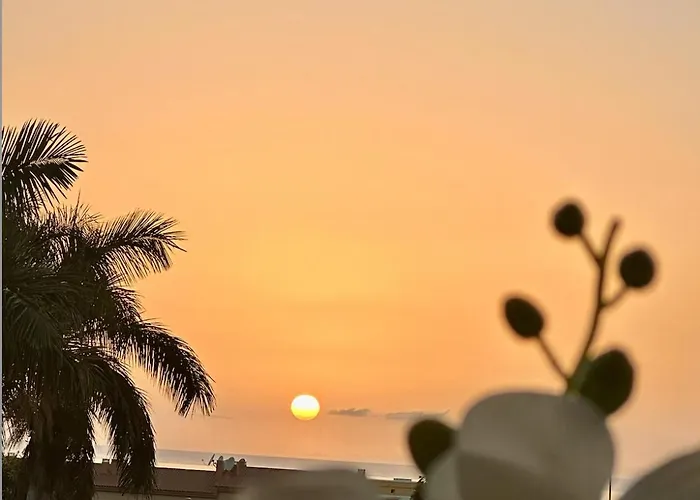 Апартаменты Tenerife Holidays Адехе