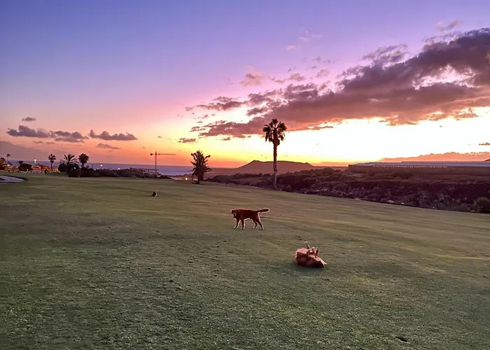 Апартаменты Tenerife Holidays