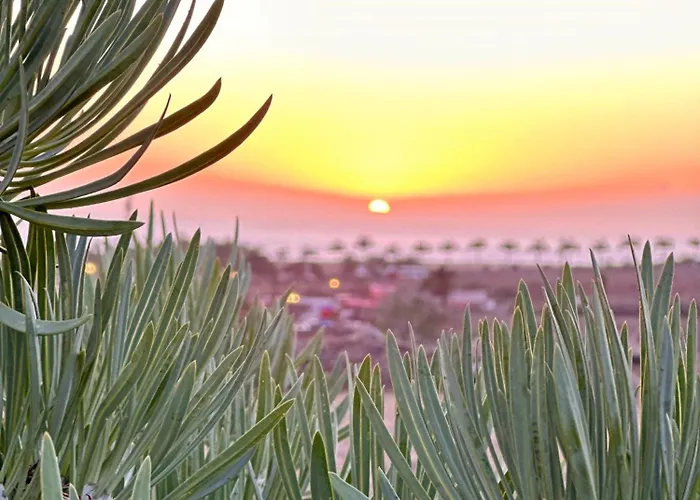 Tenerife Holidays Адехе