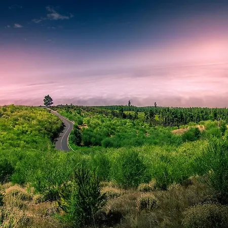 Appartamento Tenerife Holidays