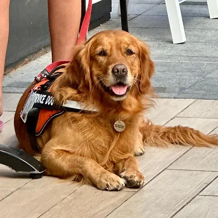 Tenerife Holidays * Costa Adeje (Tenerife)