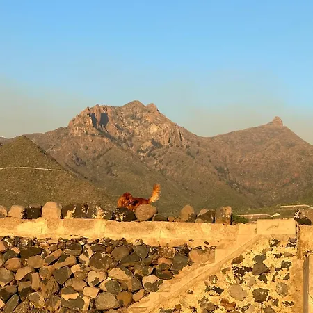 Lägenhet Tenerife Holidays